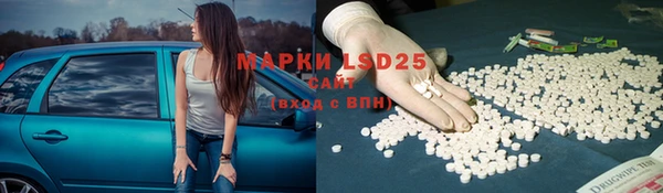ПСИЛОЦИБИНОВЫЕ ГРИБЫ Абдулино