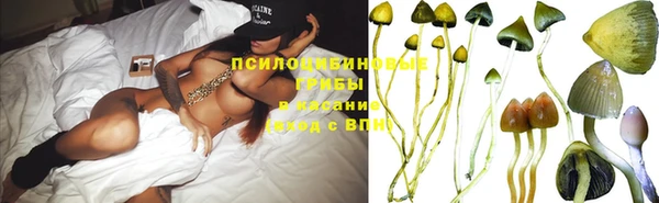 apvp Абаза