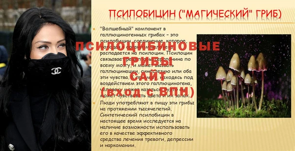ПСИЛОЦИБИНОВЫЕ ГРИБЫ Абдулино